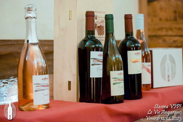 Foto Wine Embassy evento 2023 – 4. VIP @ Villa Angarano 14.04.2023 18