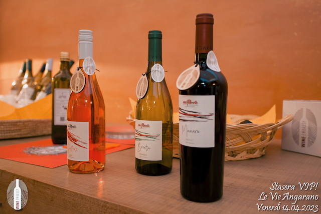 Foto Wine Embassy evento 2023 – 4. VIP @ Villa Angarano 14.04.2023 47