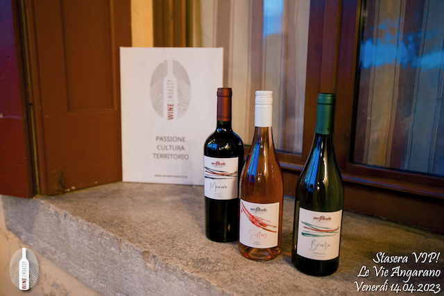 Foto Wine Embassy evento 2023 – 4. VIP @ Villa Angarano 14.04.2023 7